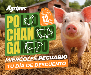 agridays-300x250